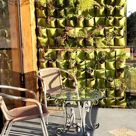 Preciosa Cabana En Fraijanes 외부 사진